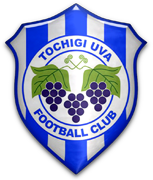 Tochigi UVA FC